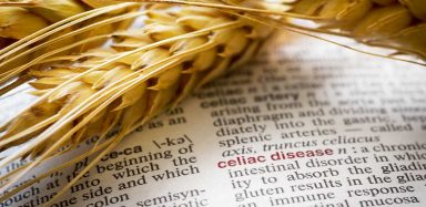 A piece of wheat with the words "celiac disease."